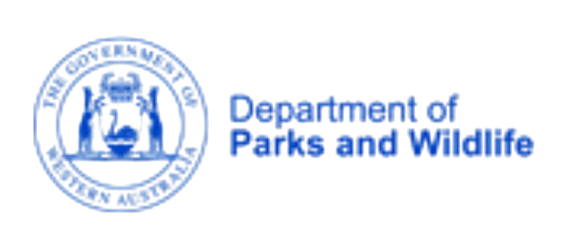 Dpaw removebg preview